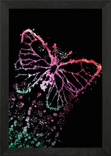 Flash schmetterling gerahmtes - flash,