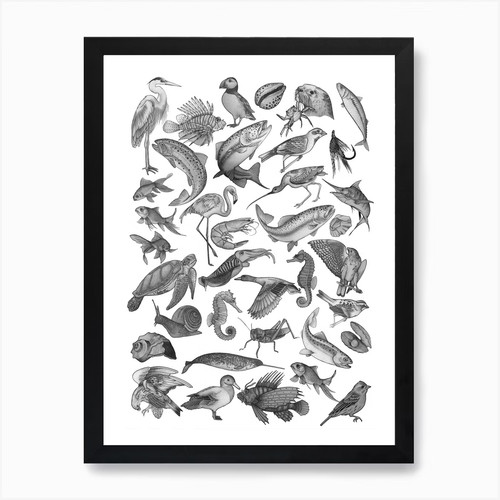 Animal flash kunstdruck - animal,